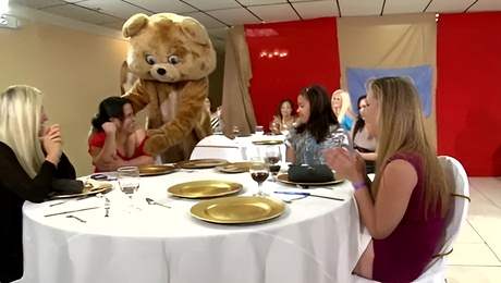 Luring madam crazy clip Dancing Bear